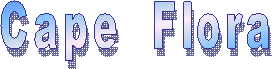 Cape  Flora